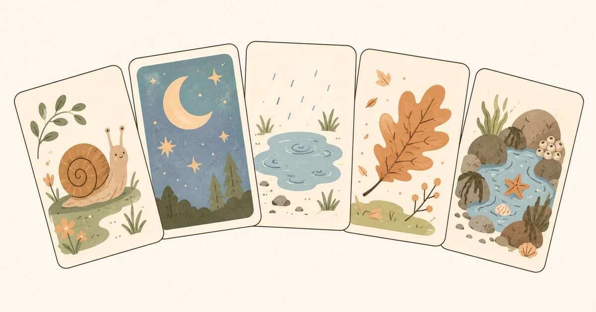Five illustrated activity cards fanned out like a hand of playing cards — a snail, a starry night, a puddle, an autumn leaf and a rockpool